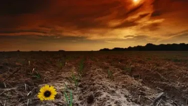 Letanias De La Tierra Muerta