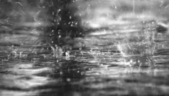 Lluvia gris