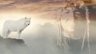 Lobo solitario