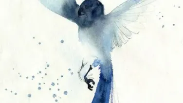 L'oiseau