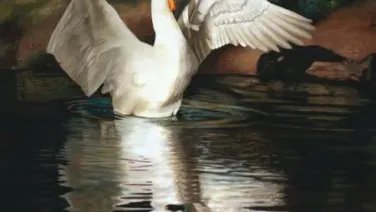 Los cisnes