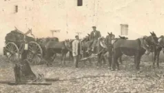 Los Cuatro Muleros