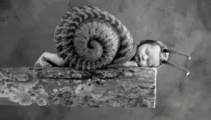 Los Encuentros De Un Caracol Aventurero