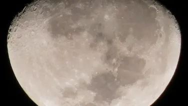 Metamorfosis