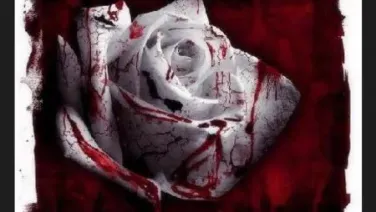 Muerto De Amor