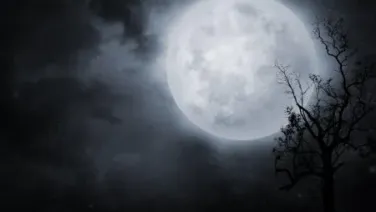 Nacía, gris, la luna