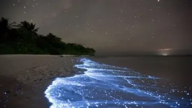 Nebulosa