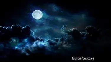 Noche