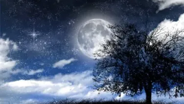 Noche
