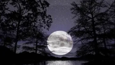 Nocturno