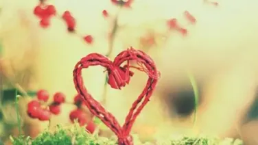Nocturno Amor