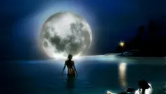 Nocturno