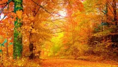 November/Noviembre.