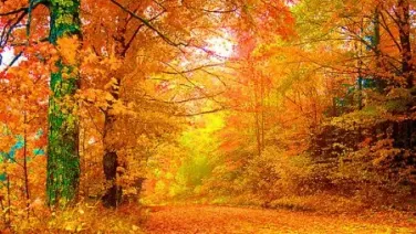 November/Noviembre.
