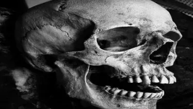 Octava A La Muerte De I.S.O. Francisco Ibarra, Arzobispo De Caracas
