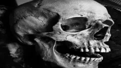 Octava A La Muerte De I.S.O. Francisco Ibarra, Arzobispo De Caracas