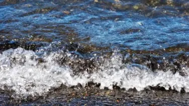 Oda Al Agua