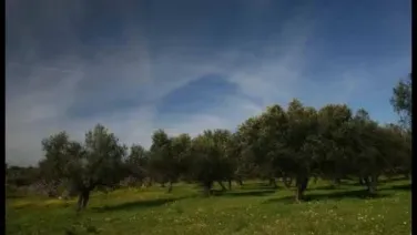 Paisaje