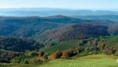 Paisaje Guipuzcoano