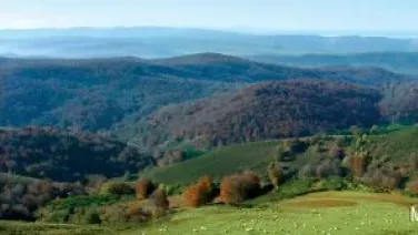 Paisaje Guipuzcoano