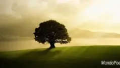 Paz