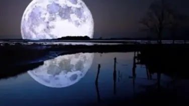Poema 11 - (20 Poemas De Amor Y Una Cancion Desesperada)