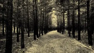 Poema 3 - (20 Poemas De Amor Y Una Cancion Desesperada)