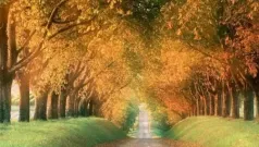 Poema de otoño