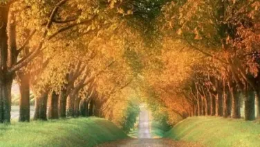 Poema de otoño