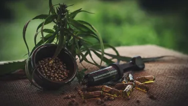 Poetas que consumen el cannabis de forma pública
