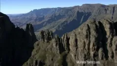 Por Que Se Mató Silva