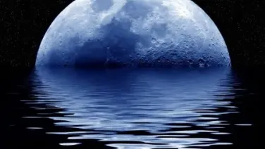 Que tus sueños sean paraíso