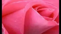 Retornos Del Amor Tal Como Era