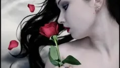 Rima
