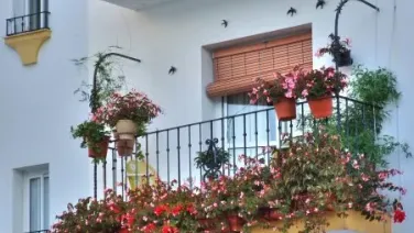 Rima XIX - Cuando Sobre El Pecho Inclinas...