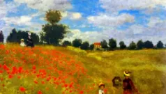 Roce De Amapolas