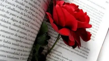Rosa del recuerdo