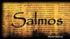 Salmo