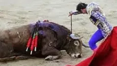Sentencia 14