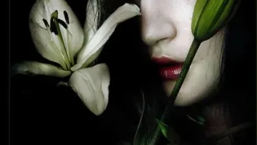 Sin ti