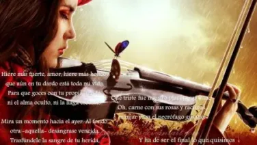 Soneto al amor III