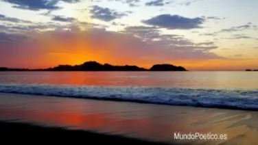Tarde del trópico