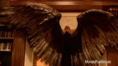 Un murmullo de alas