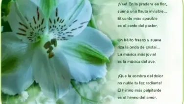 ¡Ven! En la pradera en flor...