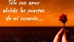 Versos de amor