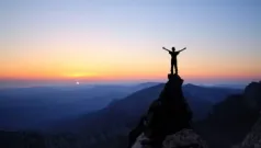 Vida