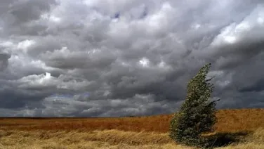 Viento del exilio