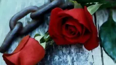 Ya que del ciego dios habéis cantado...