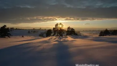 Yo canto lo que tu amabas...