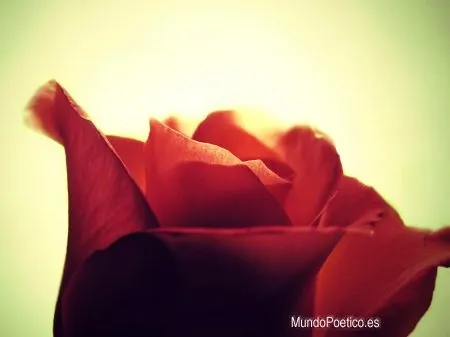 Haces de luz